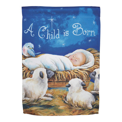 Kadeen Double Sided 44'' H x 30'' W Polyester Christmas House Flag