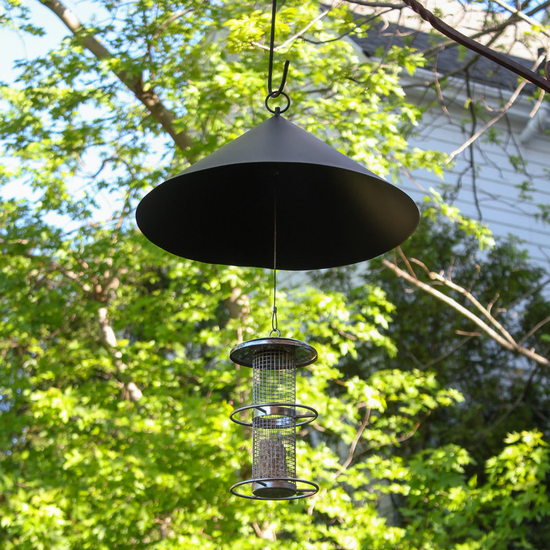 Dambrosio Squirrel Guard