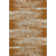 Premium Machine Washable Prisco Paprika Rug