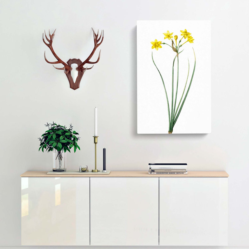 Rush Daffodil Flowers by Pierre-Joseph Redoute - Wrapped Canvas Print, 60cm H x 40cm W x 3cm D