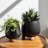 Ereka Stoneware and Ceramic Footed Round Planters with Triple Ball Base Design Set of 2-1852085795