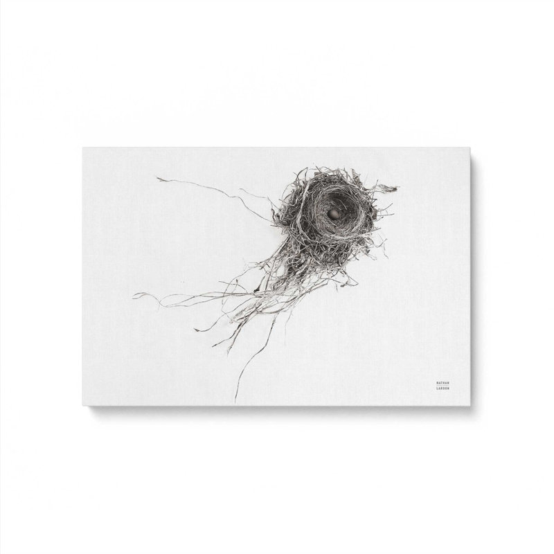 Reproduction d'art «Nest Reluction» par Nathan Larson, 12 W x 8 H, Does Not Apply, Unframed Canvas