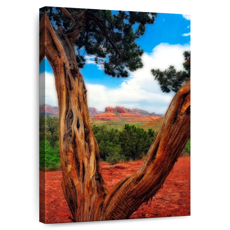 Aime Desert Reds, 45" H x 30" W