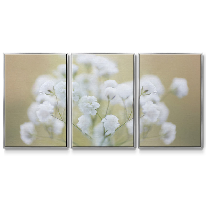 «Baby's Breath Study I», reproduction sur toile 3 pièces, H 36 po x l 75 po x P 2 po, Argent