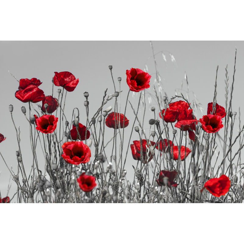 Red Poppies 6 - Wrapped Canvas Print, 20cm H x 30cm W x 3.8cm D