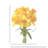 Daffodil Arrangement-657182286