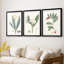 Soft Tropical IV - reproduction encadrée sur mesure de qualité supérieure mate - 3 pièces-331231867-331231865