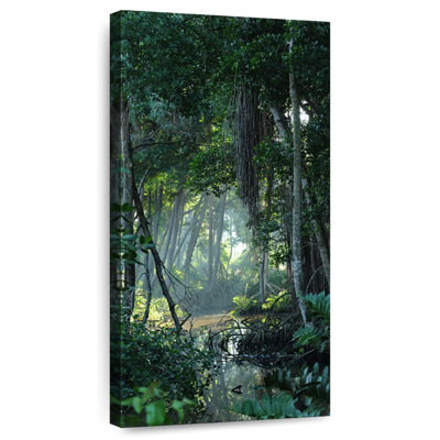 Forêt tropicale