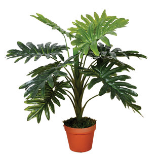 70cm Faux Philodendron Plant in Pot