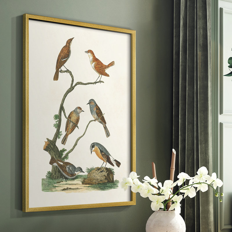 «Antique Birds in Nature IV», reproduction encadrée - bois massif, Or, H 28 po x l 22 po