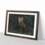 Portrait of a Fox - Framed Print-56758605-56758608