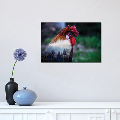 Rooster by Paul Haag - Print on Canvas