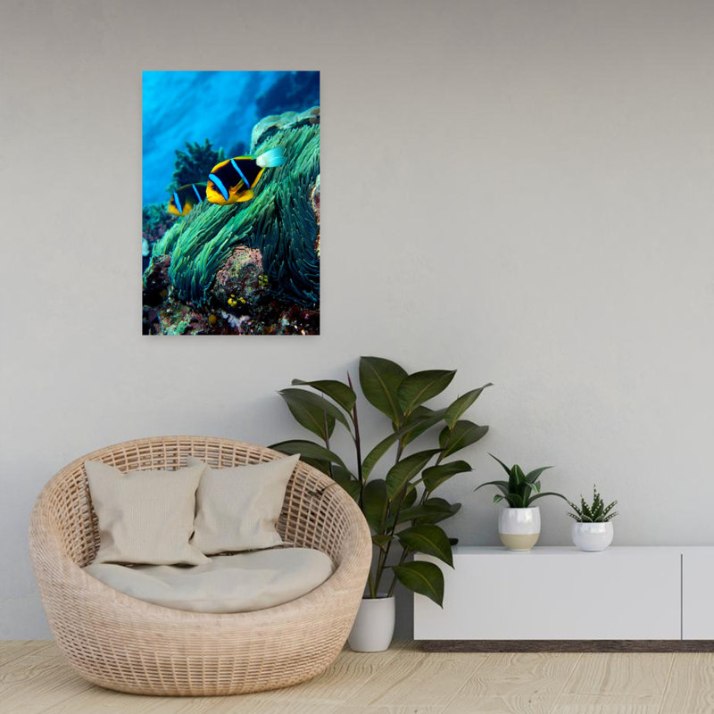 Anemonefish d'Allard Amphprion Allardi dans l'océan, art contemporain abstrait, H 24 po x l 16 po