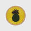 Lemon Coasters-1313343765