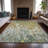 Machine Washable Indoor/Outdoor Amanda ACN2129 Abstract Rug-113865892