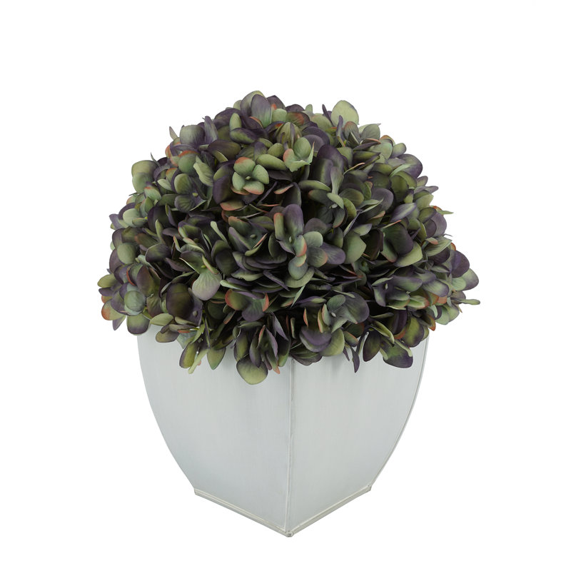 Arrangements floraux d'hortensias en pot, Mauve antique
