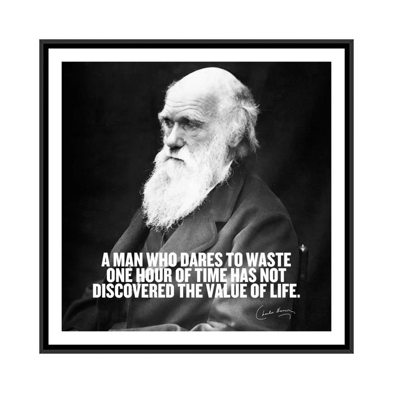 Citation de Charles Darwin, impression sur toile, H 18 po x l 18 po x P 1,5 po, Toile avec cadre noir, Pas de tapis