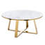Danika Solid Coffee Table with Storage