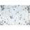 Art Hide Cowhide Area Rug in Gray