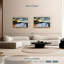 Maui, baie de Makena, Borasisi-1825958686-1825958687