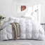 Édredon en duvet pour l'hiver-169389868