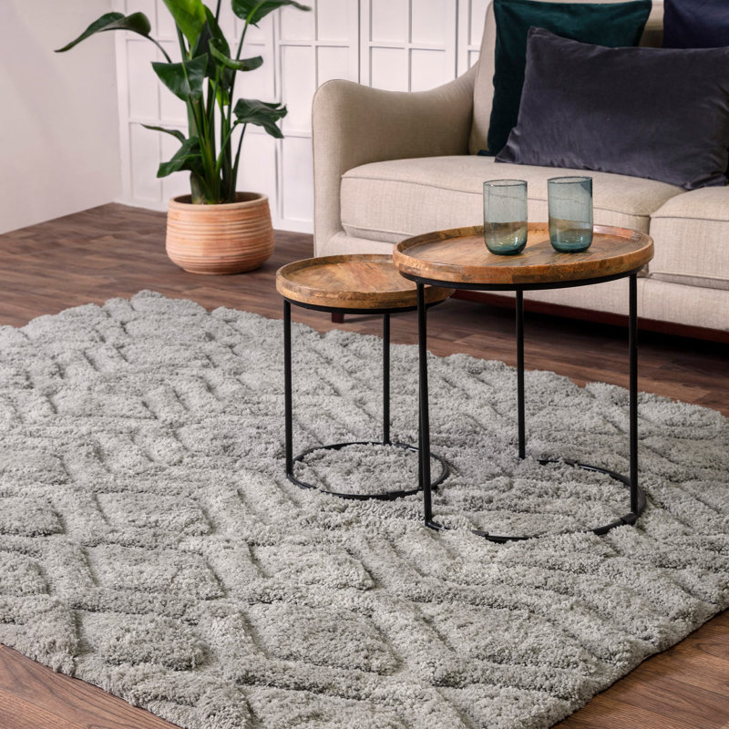 Peck Geometric Shag Area Rug, Rectangle 200cmx 290cm