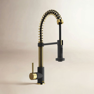 Edison Pull-Down Kitchen Faucet