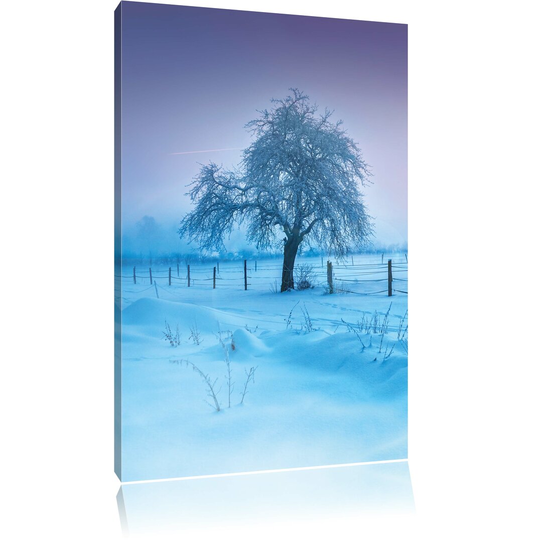 Leinwandbild Baum in Winterlandschaft, Fotodruck