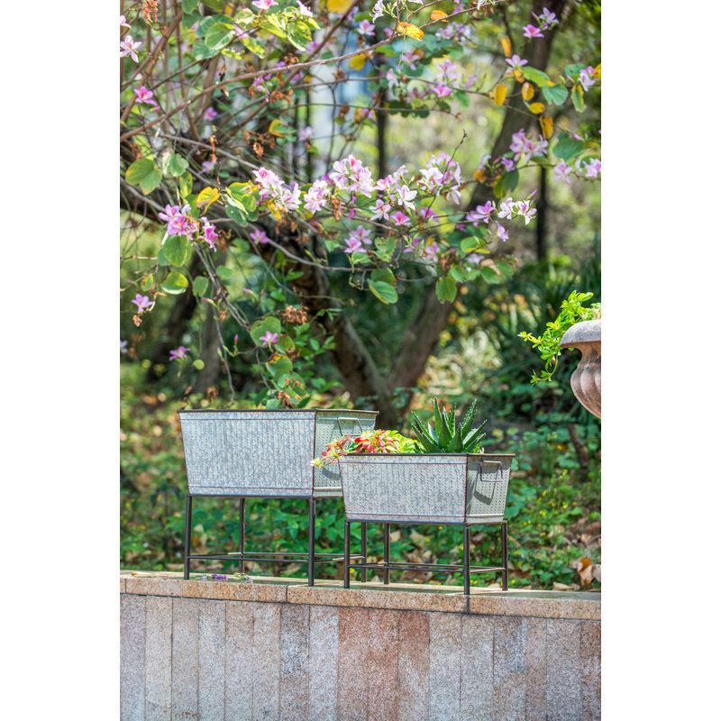 Ensemble de 2 pots à fleurs rustiques en métal avec supports Zale