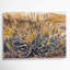 «Southwestern Plants Creosote Bush 156», art mural sur toile beige-1699286231