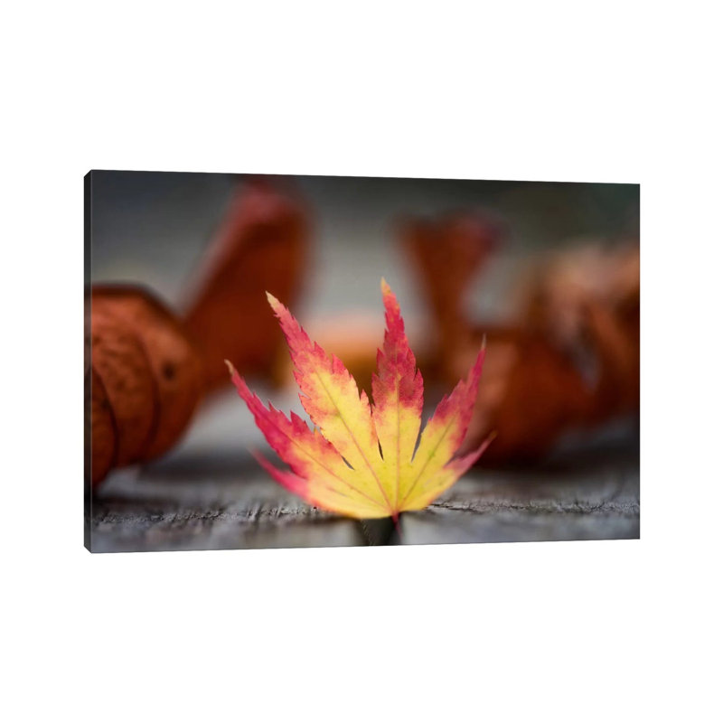 Featured Maple Leaf - Wrapped Canvas Print, 101.6 cm H x 66.04 cm W x 1.91 cm D