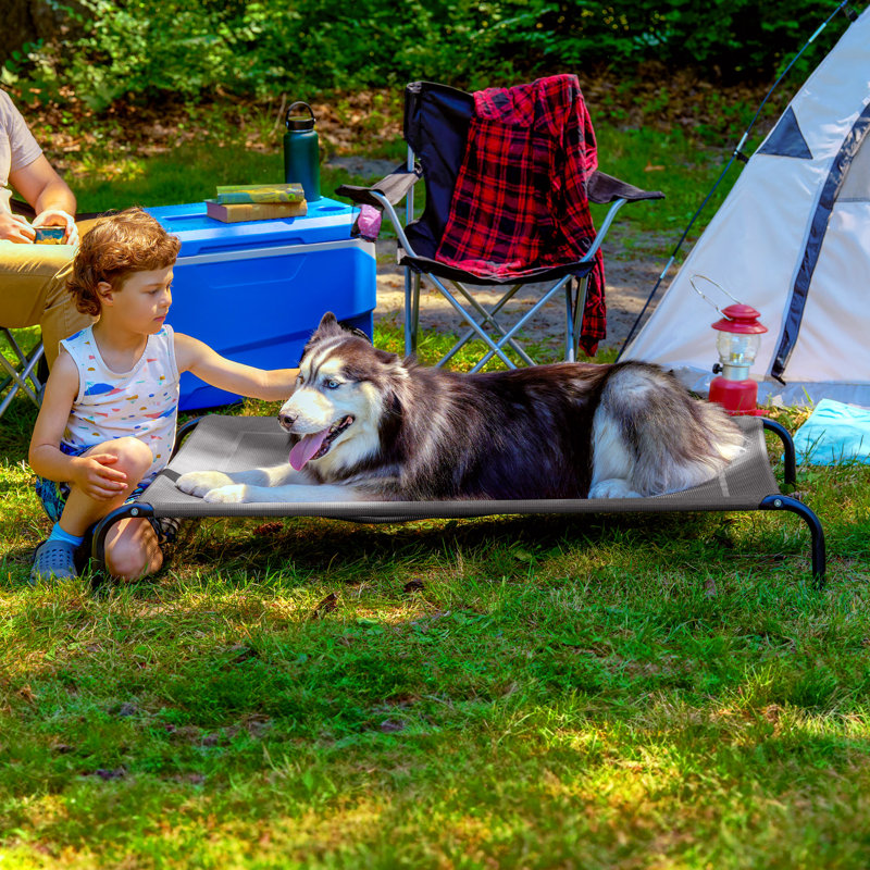 Elevated Cot Pet Bed, Gray, 8" H x 36" W x 54.5" D