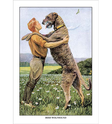 " Irish Wolfhound "