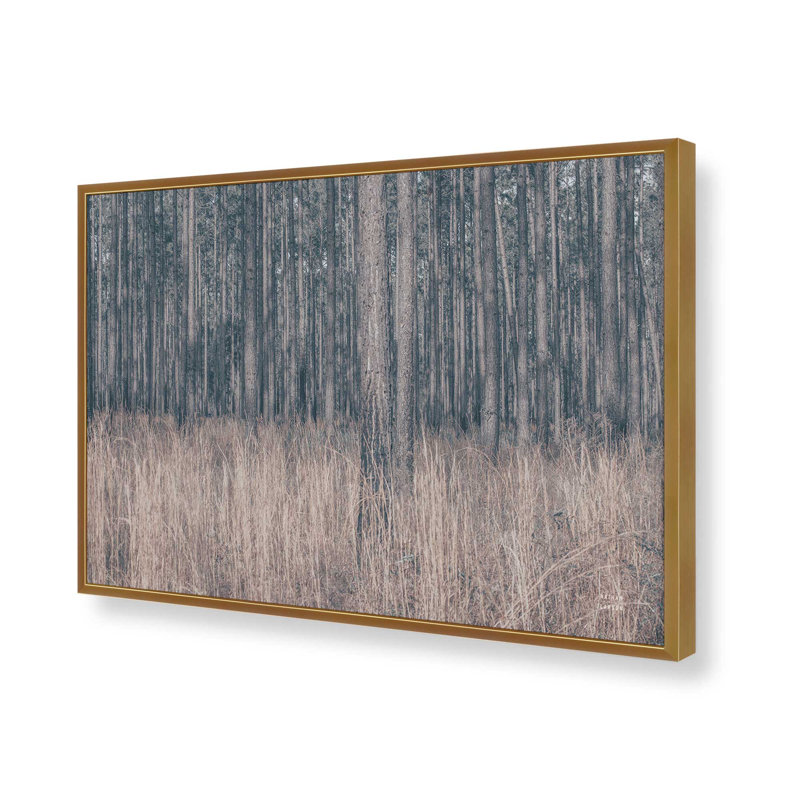 «Stitched» par Nathan Larson, reproduction d'art, H 12 po x l 18 po, Doré