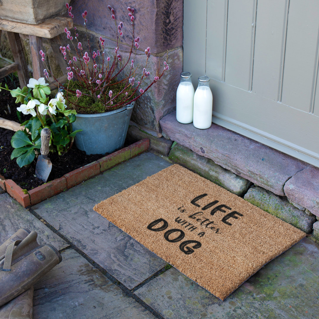 Non-Slip Indoor/Outdoor Door Mat