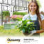 Outsunny 2-Tier Raised Garden Bed Planter Box, Open Bottom-110036782