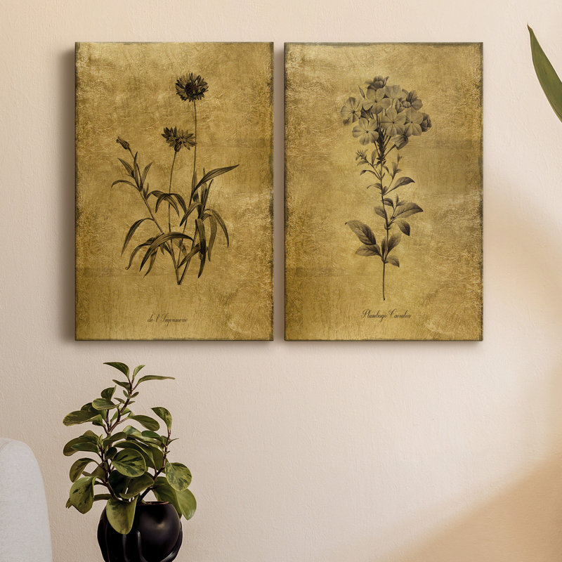 Croquis d'or Botanique I - Ensemble de 2 peintures sur toiles, H 60 po x l 80 po, Toile tendue, Sans cadre