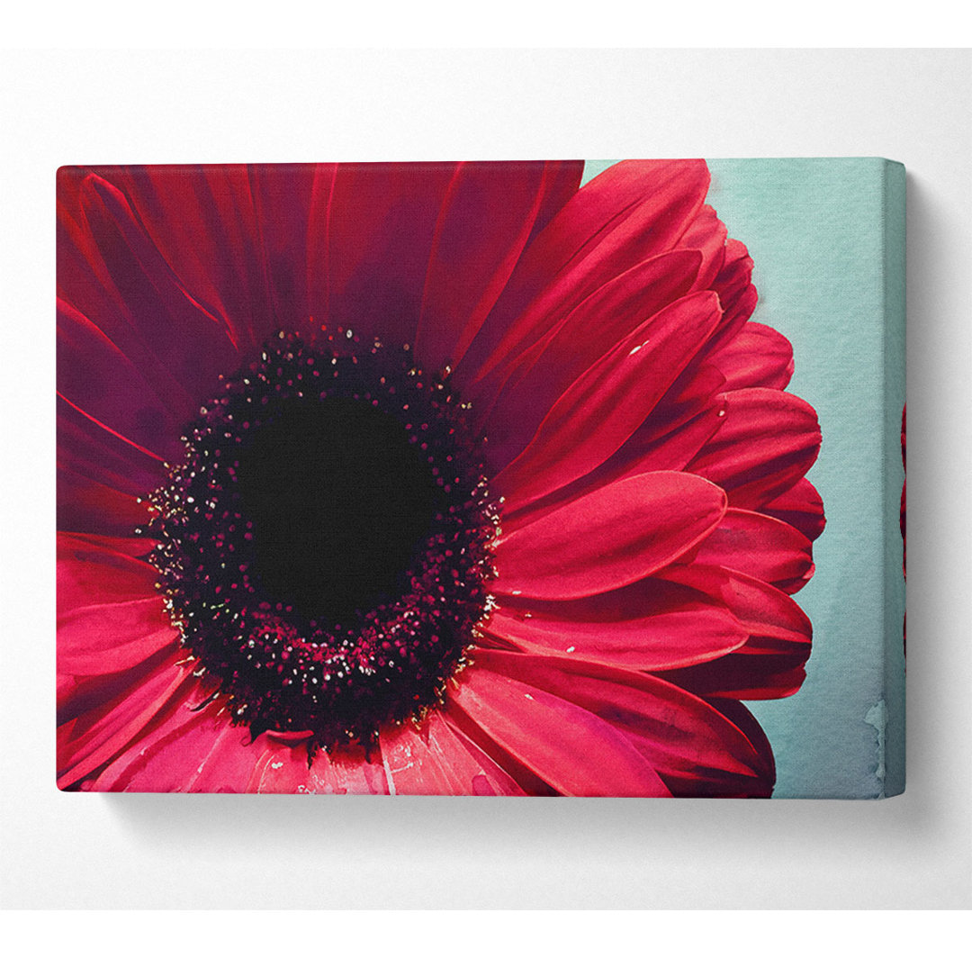 Gerbera Blume Deep Red - Leinwanddrucke auf Leinwand