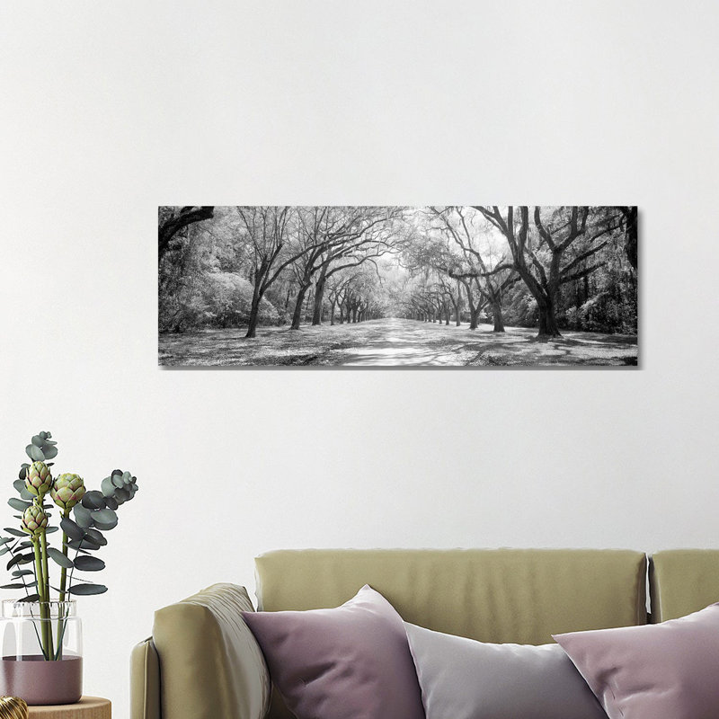 Live Oaks And Spanish Moss Wormsloe State Historic Site Savannah, Georgia II - Panoramic Print on Canvas, No Framed
