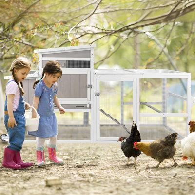 Cage à poules pour l'extérieur Gyta