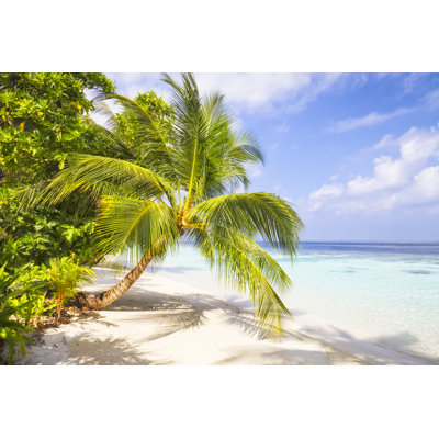 Palmier sur la plage tropicale par Cinoby