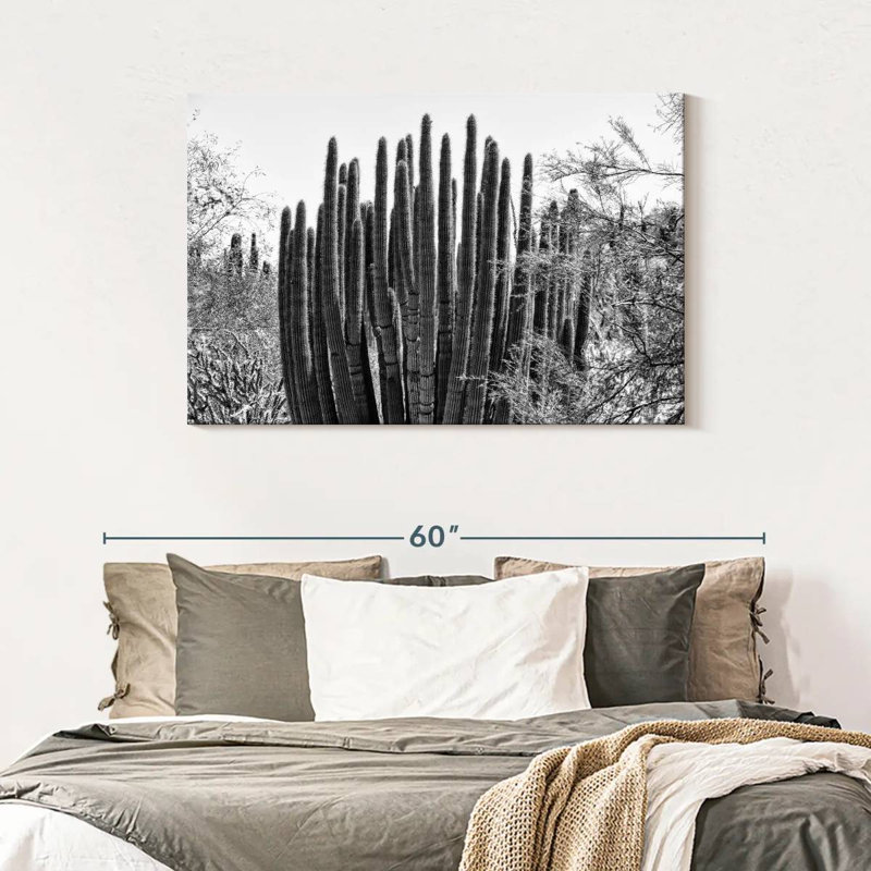 Harnek - Arizona noir - gros cactus, H 30 po x l 45 po