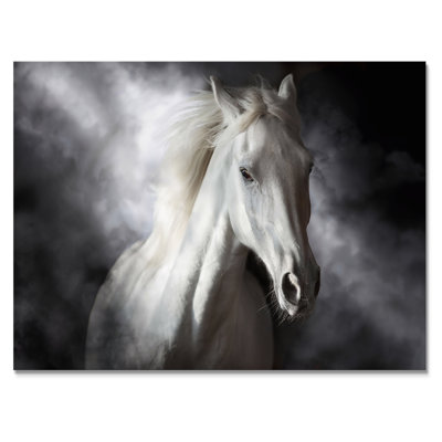 Portrait d'un cheval blanc au galop I - photographie sur toile
