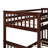 Dorethea 2 Drawer Standard Bunk Bed by Harriet Bee-302305921-330841568