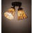 Tiho Stone Spotlight