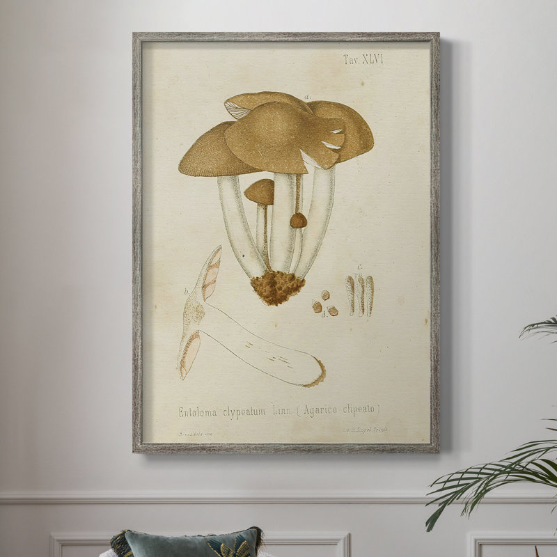 Reproduction encadrée champignon V Variétés - bois massif, H 30 po x l 24 po