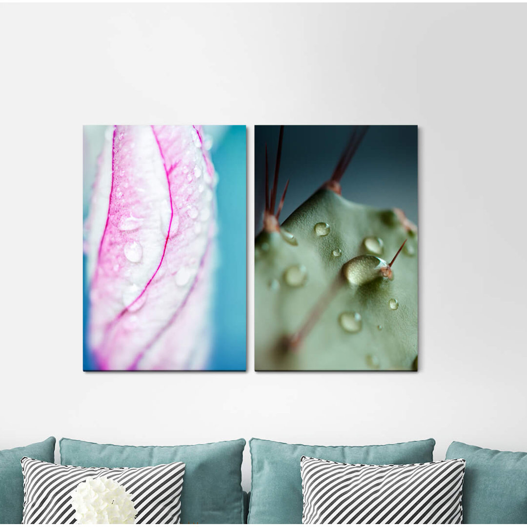 2-tlg. Leinwandbilder-Set - Grafikdruck „Drops Orchid Cactus Plants Soft Spiny”