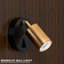 Alexies Flush Mounted Sconce
