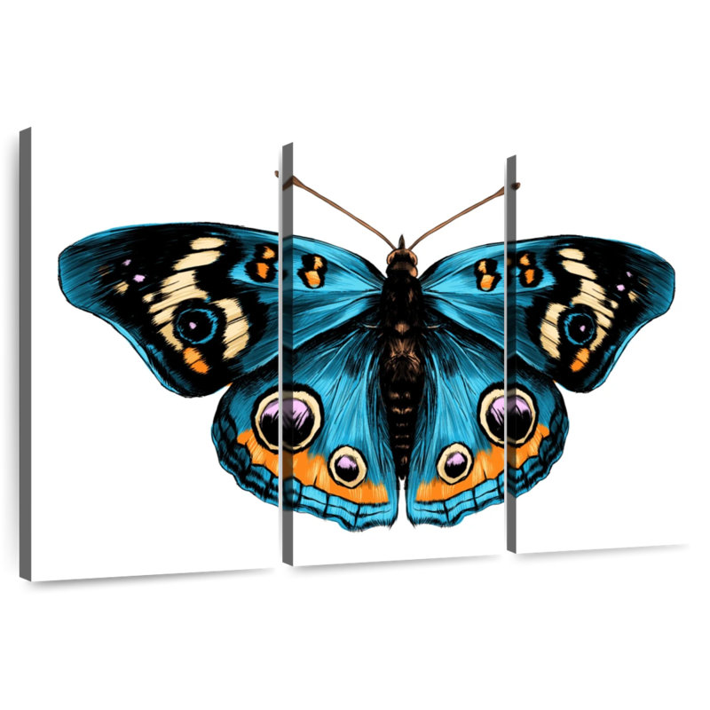 Brampt Butterfly Symmetry, H 24 po x l 38 po