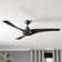 Burrus 52'' Ceiling Fan